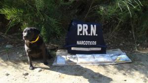 Red narco: encontraron 5 kilos de marihuana en una caja abandonada