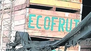Pasivos de Ecofrut suman $ 443 millones
