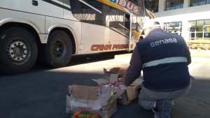 Descubren una encomienda que contenía 90 kilogramos de salamines