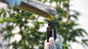 Cada vez más pacientes en busca de cannabis medicinal