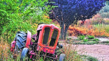 Maquinaria destartalada y yuyos por doquier. Postal del abandono que se repite en muchas chacras del Alto Valle.