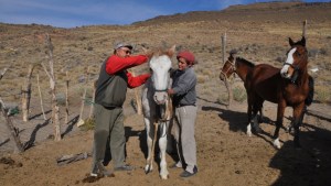 Mirá como este papá de la Línea Sur le enseña a domar a su hijo