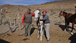 Domar con cariño: el legado de  un padre a su hijo en la Línea Sur