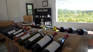 Roca: excursiones para todas las edades en Semana Santa