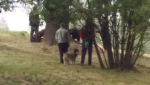 Hallan un cuerpo sin vida en un descampado de Bariloche