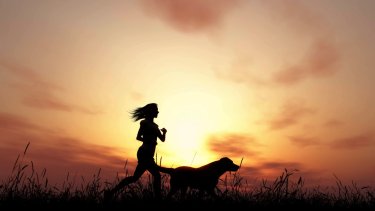 Cuando el perro se convierte en compañero de deportes