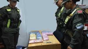 Un perro de Gendarmería descubrió droga en un colectivo