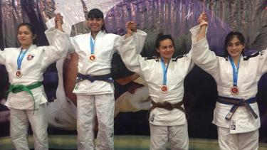 Río Negro se quedó con el Torneo Nacional de Judo en Bariloche. Foto: gentileza