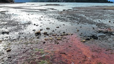 El lago lleva décadas recibiendo efluentes sin tratamiento. Foto: archivo
