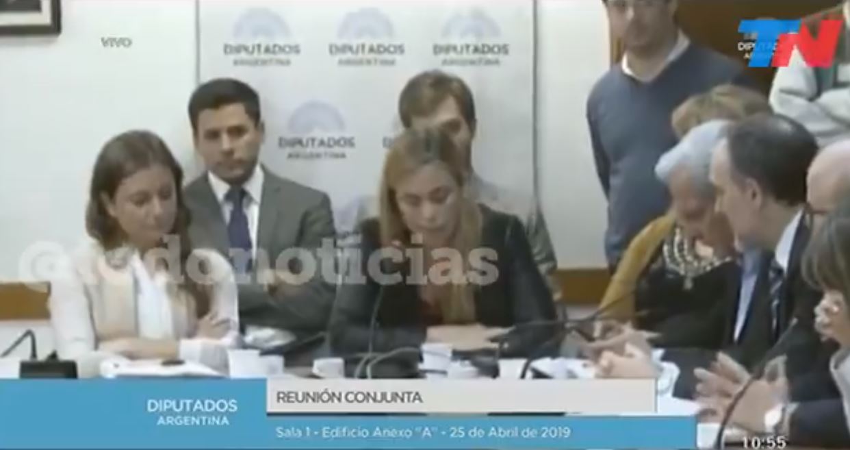 Escándalo durante la exposición de María Emilia Soria en Diputados ...