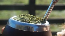 Imagen de El mate podría prevenir el desarrollo de Parkinson, según especialistas del Conicet