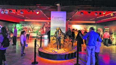 Un espacio destinado a los tehuelches y mapuches.