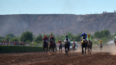 Nueva regulación para las carreras de caballo