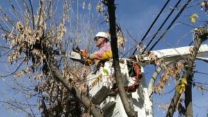 Vecinos de Roca reclamaron por tareas de poda y energía