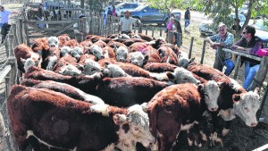Ganaderos patagónicos corrigen a La Pampa y al presidente Fernández