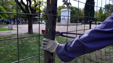 Está en marcha la puesta en valor de la plaza San Martín de Viedma