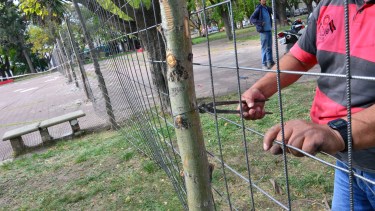 Se iniciaron los trabajos en la plaza San Martín. Foto: Marcelo Ochoa.