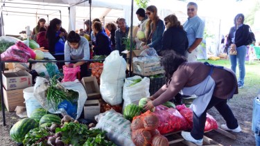 La Feria Agroecológica se desarrollará en bulevar Contín y Las Heras de Viedma. Foto: Marcelo Ochoa.