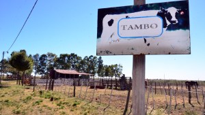 El litro de leche a 25 pesos en Patagones para paliar la crisis