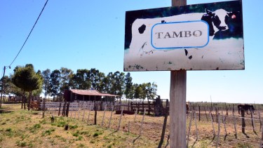 En la escuela agraria de Patagones, se vende leche cruda. Foto : Marcelo Ochoa