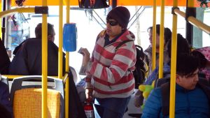 Milei quitó subsidios al transporte del interior: en Río Negro «verán incrementos violentos en el precio del pasaje»