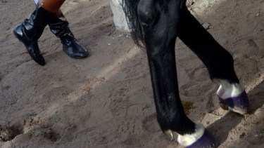 En un mes estará el resultado de las pericias por doping de la yegua «Negrita»