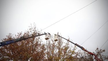 Edersa anunció un corte de energía durante el mediodía en Roca