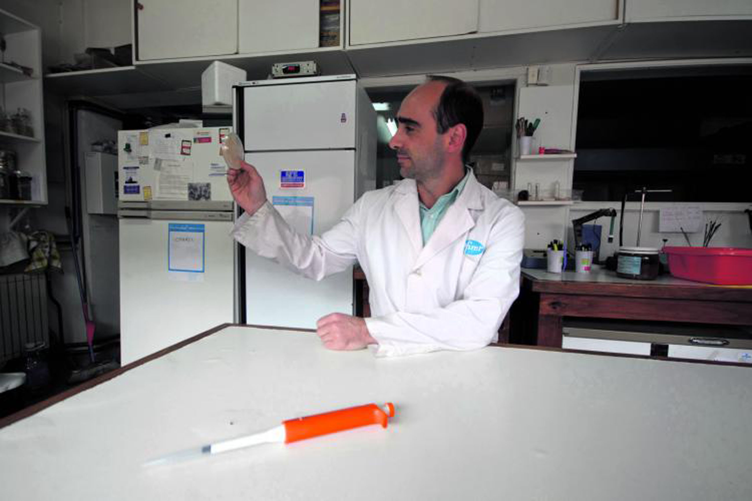 Diego Libkind, doctor en Bioquímica y director del Ipatec. Foto: archivo