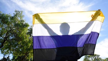 Esta es la bandera no binaria. En Neuquén, ya son seis las personas que cuentan con esta identidad en sus partidas de nacimiento. (Archivo Foto: Florencia Salto)