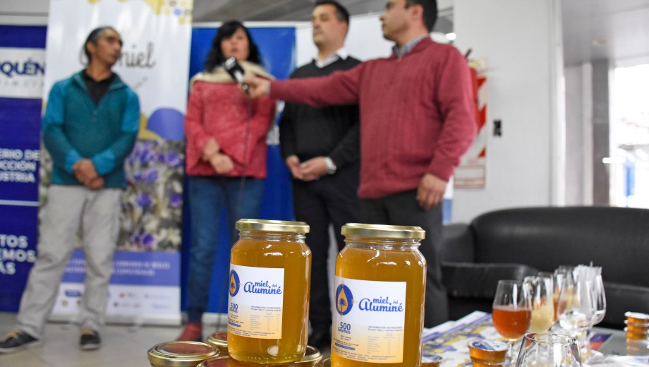 La secretaria de ProducciÃ³n Amalia Sapag y el intendente de AluminÃ© Gabriel Ãlamo presentaron la actividad. Foto Florencia Salto