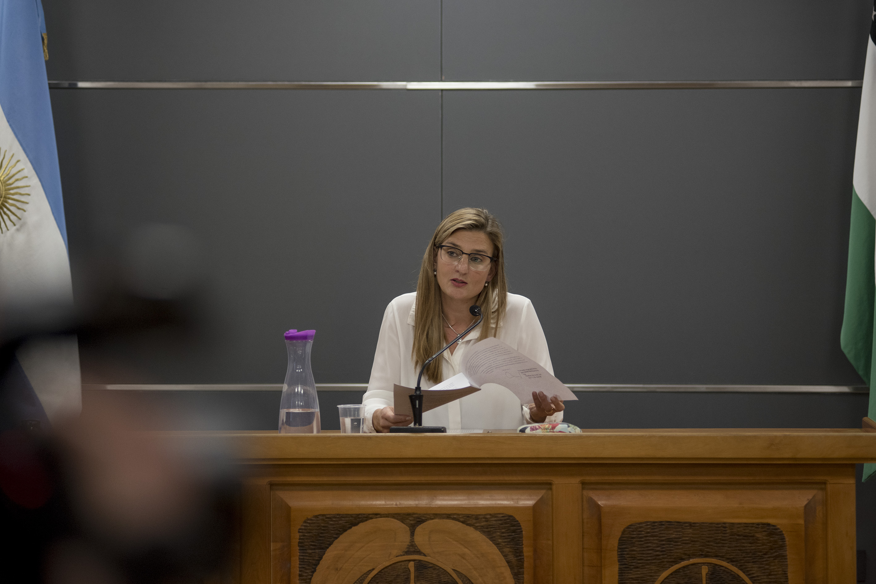 La jueza Romina Martini dictó el 13 de mayo pasado la sentencia que absolvió al exgerente administrativo del Colegio Médico de Bariloche, Jorge Olguín. (foto de archivo) 