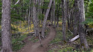 Habilitan los senderos del parque Nahuel Huapi