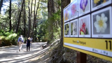 Los senderos del parque municipal Llao Llao permanecen cerrados hoy por viento. Archivo