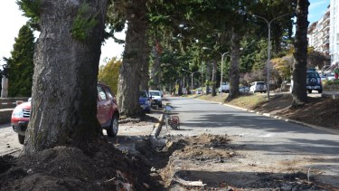 Hay pinos en al costanera que generan un riesgo. (Foto: Alfredo Leiva)