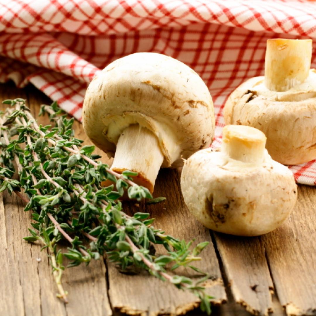 Salteado de hongos a la provenzal