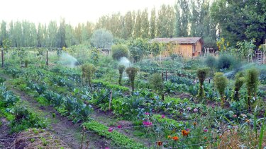 Argentina hoy cuenta con más 3,6 millones de hectáreas dedicadas a la producción orgánica