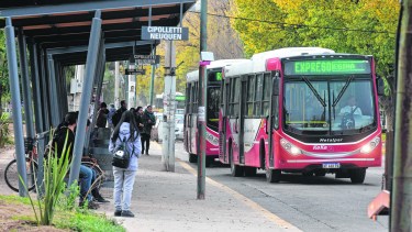 Funcionalidad y resguardo en las nuevas paradas de colectivos. (Foto César Izza)
