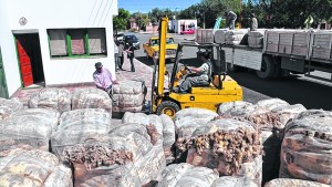 La zafra ovina y caprina dejó $ 95 millones en la Región Sur