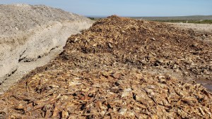 Las Grutas: ¿esta es la postal que queremos?