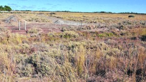 El municipio de Viedma salió a vender 350 lotes y ya hay más de 1.000 interesados