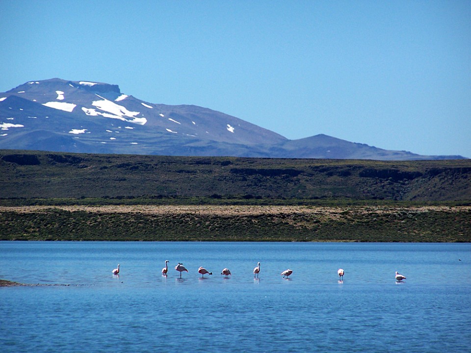 El Parque Nacional Laguna Blanca será uno de los destinatarios del proyecto en Neuquén. Foto: Archivo. 