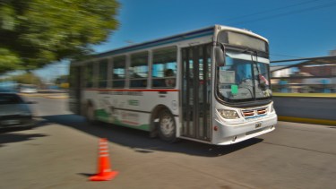Denuncia viral: suspendieron al chofer de Roca por usar el celular mientras conducía