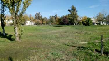 El terreno que ofrece el Deliberante. 