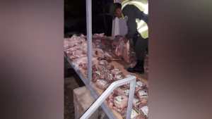 Decomisaron 34 costillares que traían clandestinamente a Neuquén