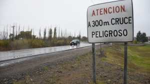 Un chico murió atropellado en la ruta 151 en Barda del Medio