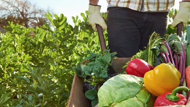 Mega encuentro para saber más sobre agricultura familiar en Cinco Saltos, este miércoles y jueves