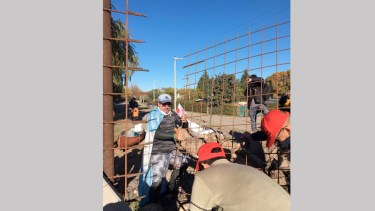 El alambrado fue abierto nuevamente. Foto: Gentileza