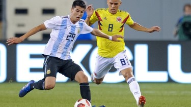 Scaloni hizo debutar a Palacios en la Selección el año pasado y ahora no podrá contar con él.