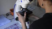 Imagen de Infarto, cáncer de mama y Alzheimer: las principales causas de muerte de las argentinas