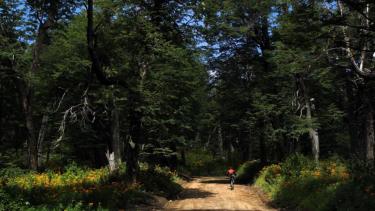 Los senderos fueron habilitados desde este sábado. (Archivo)